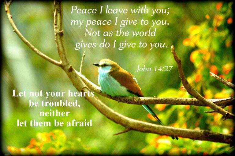 God Gives You His Peace Set Apart By His Grace